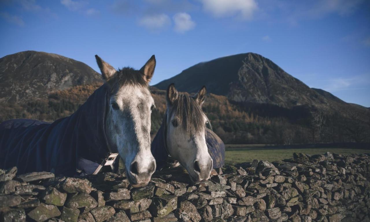 Cedar Nook Villa Loweswater Eksteriør billede